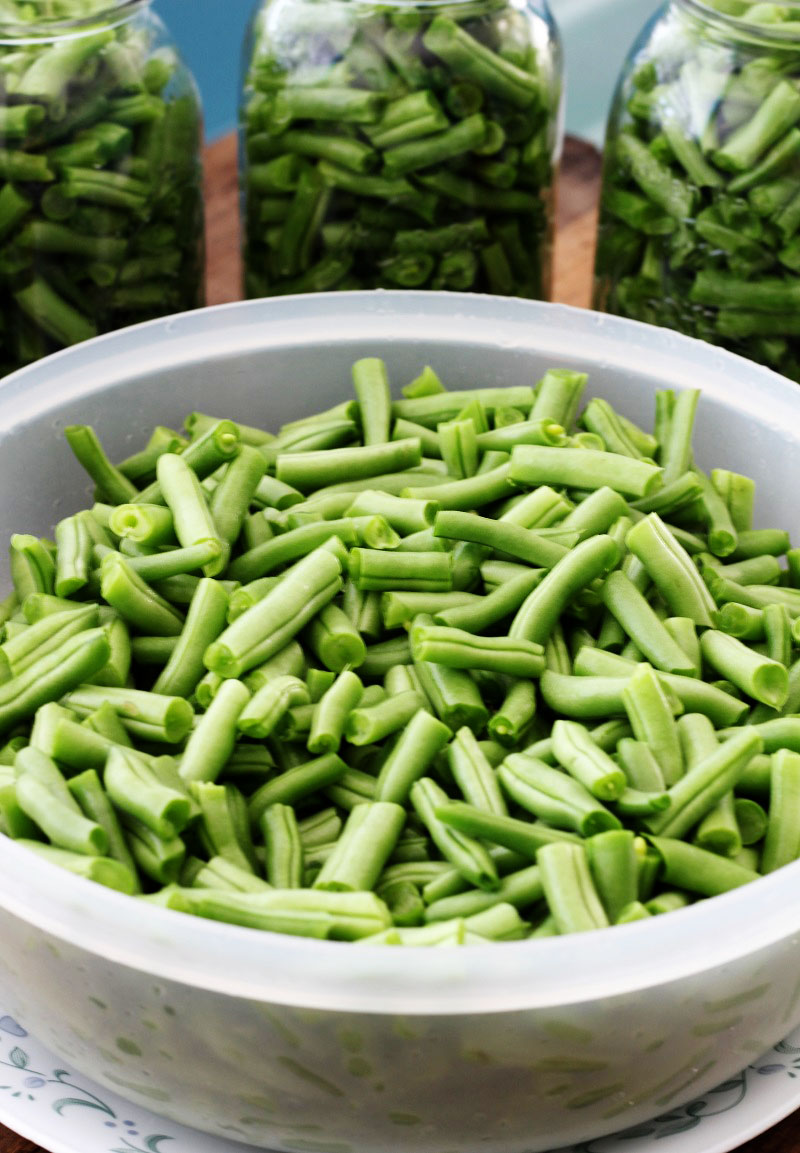 Canning Green Beans My Recipe Treasures