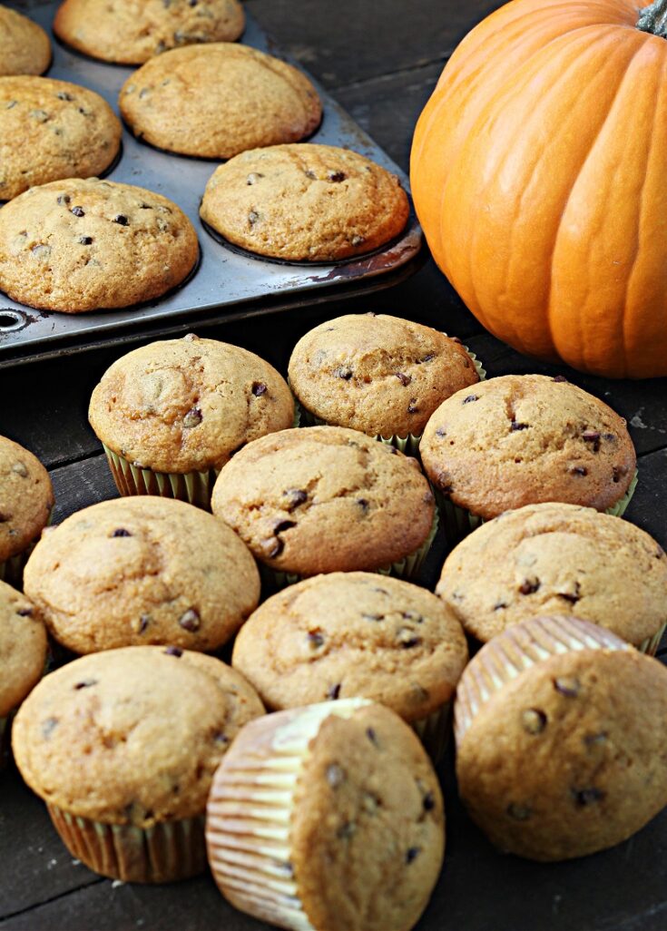 Pumpkin Chocolate Chip Muffins