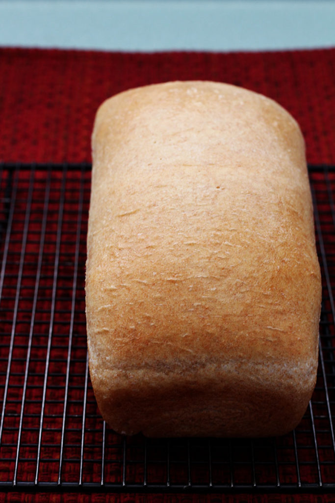 Whole Wheat Bread