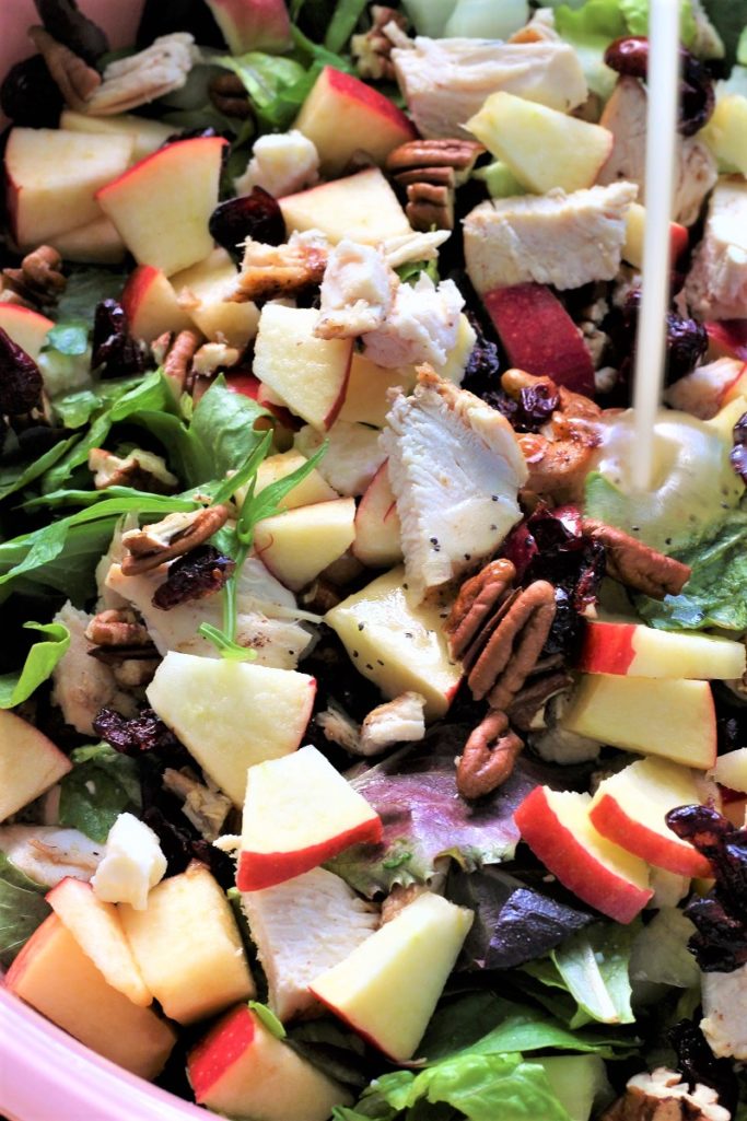 Autumn Chicken Pecan Salad