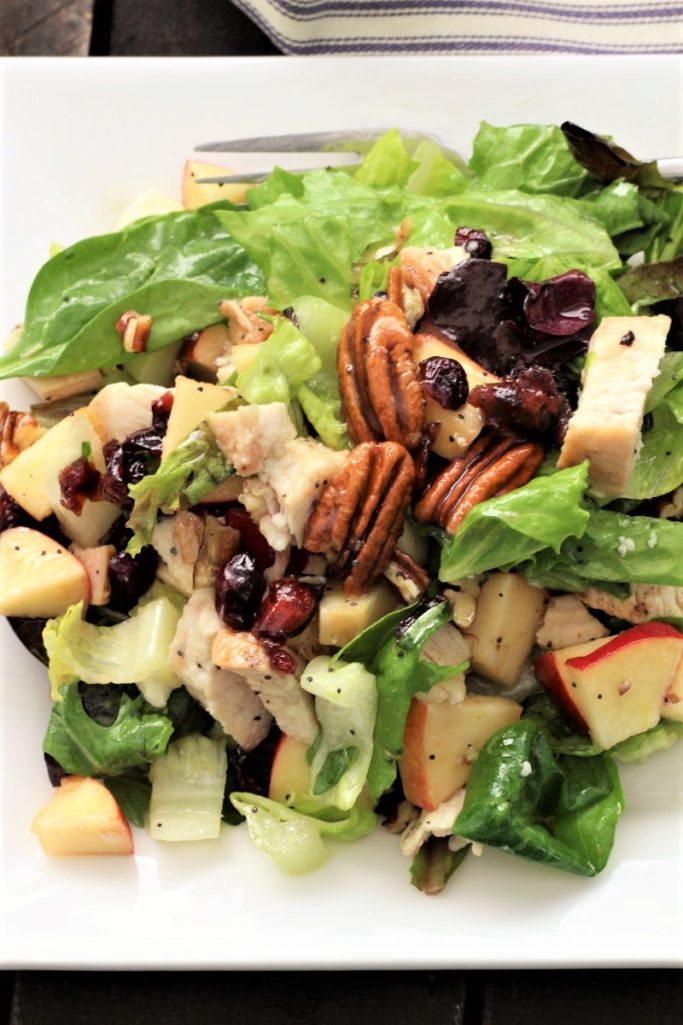 Autumn Chicken Pecan Salad