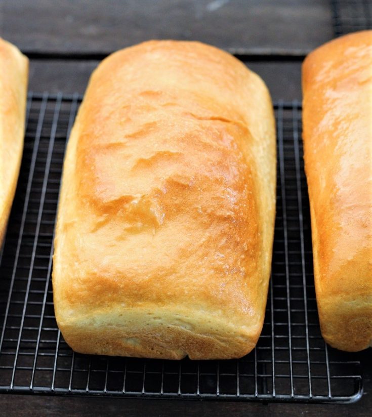 Basic White Bread