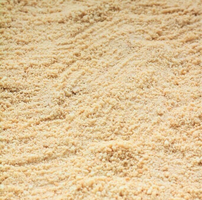 IMG_4451-683×1025 (2)