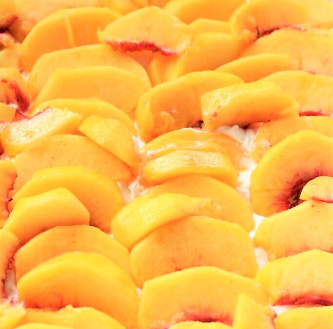 IMG_4456-683×1025 (2)