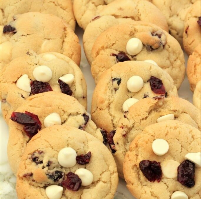 IMG_6094-683×1024 (2)