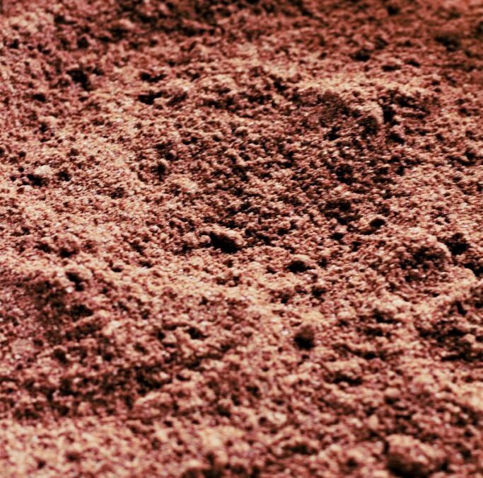 IMG_6367-683x1024pscopy