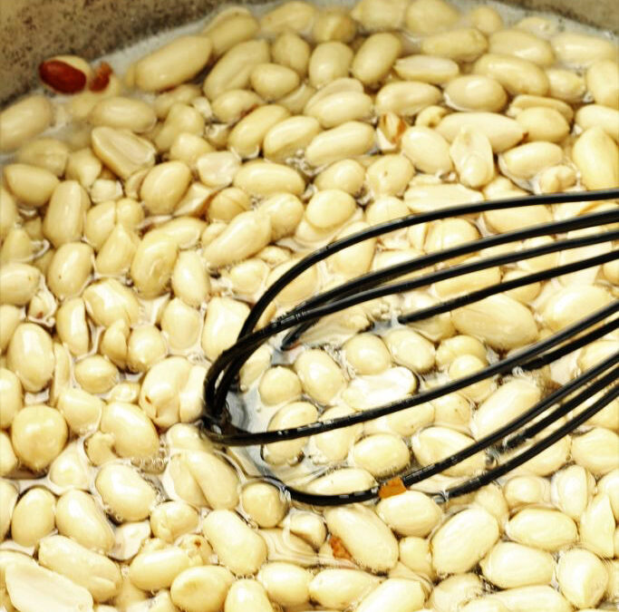 IMG_6531-683x1024pscopy