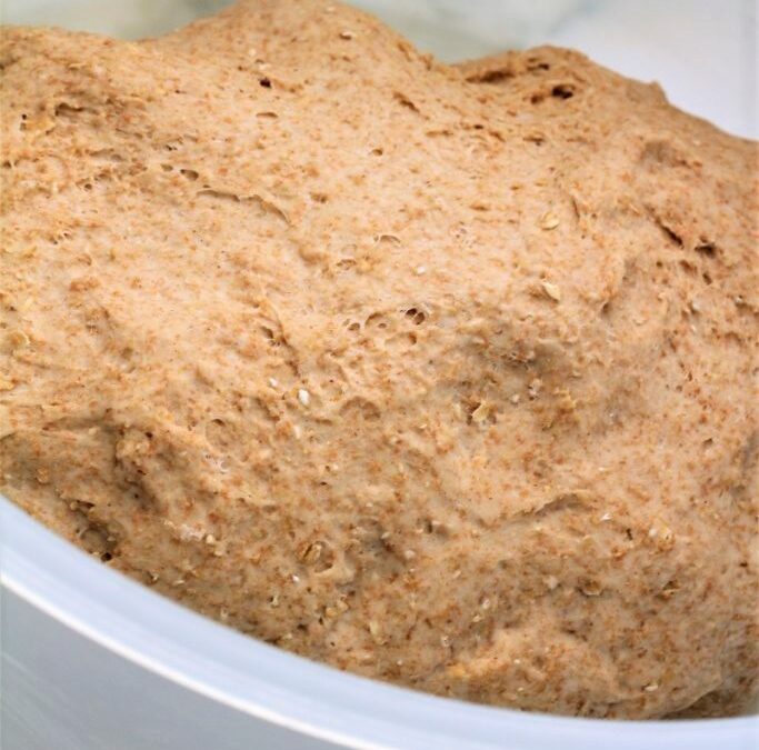 IMG_7149-683×1024 (2)