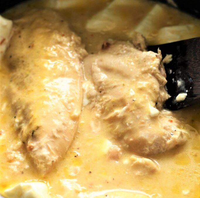 IMG_7449-683×1024 (2)