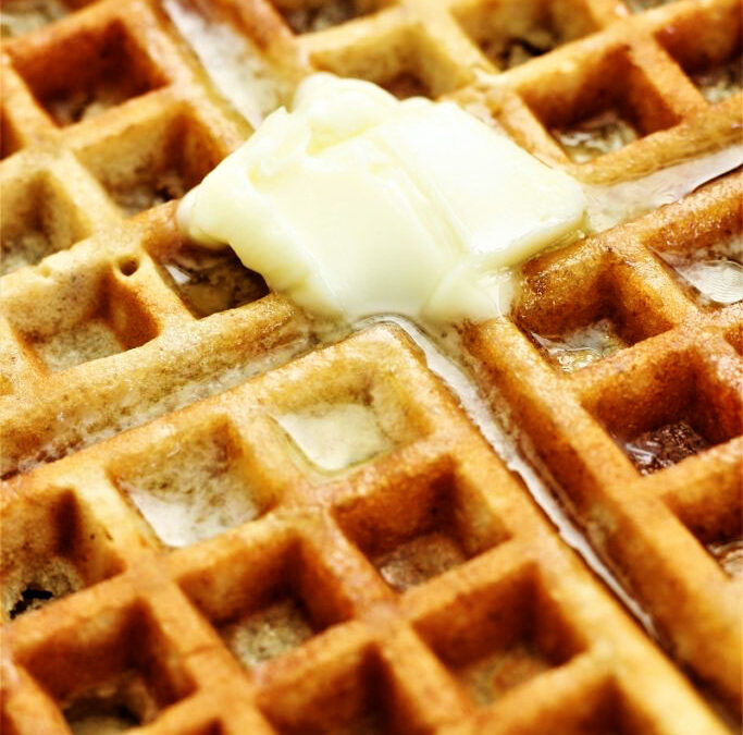 IMG_8168-683x1024pscopy