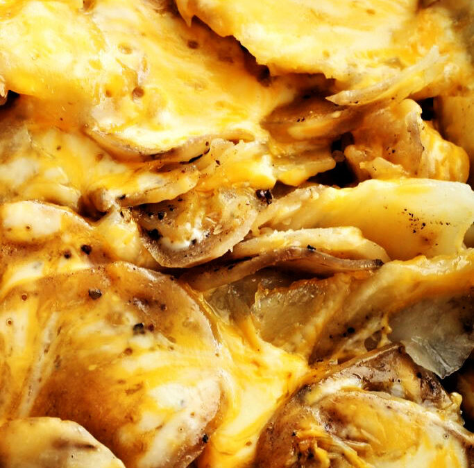 IMG_8417-683x1024pscopy