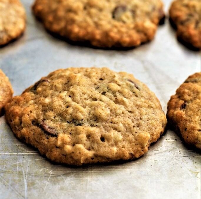 IMG_8567-683×1024 (2)