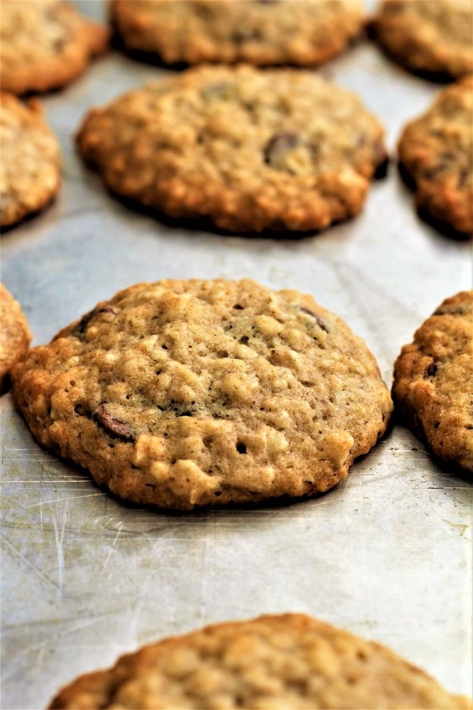 Oatmeal Banana Cookies My Recipe Treasures