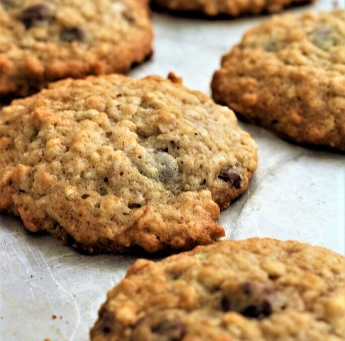 IMG_8569-683×1024 (3)