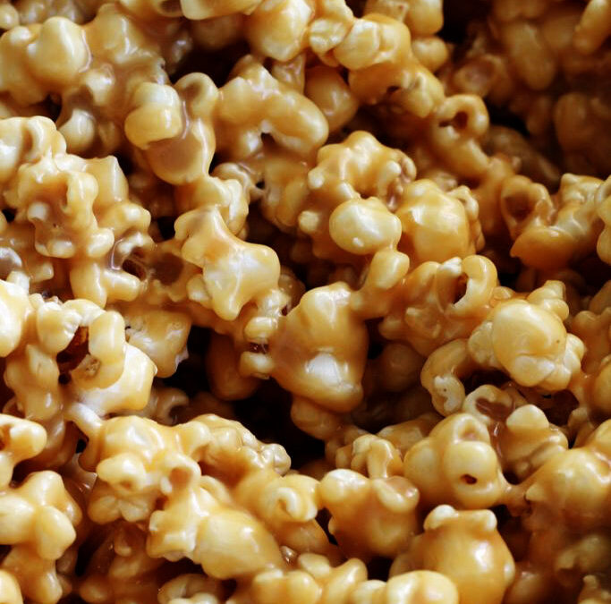 IMG_8673-683x1025pscopy