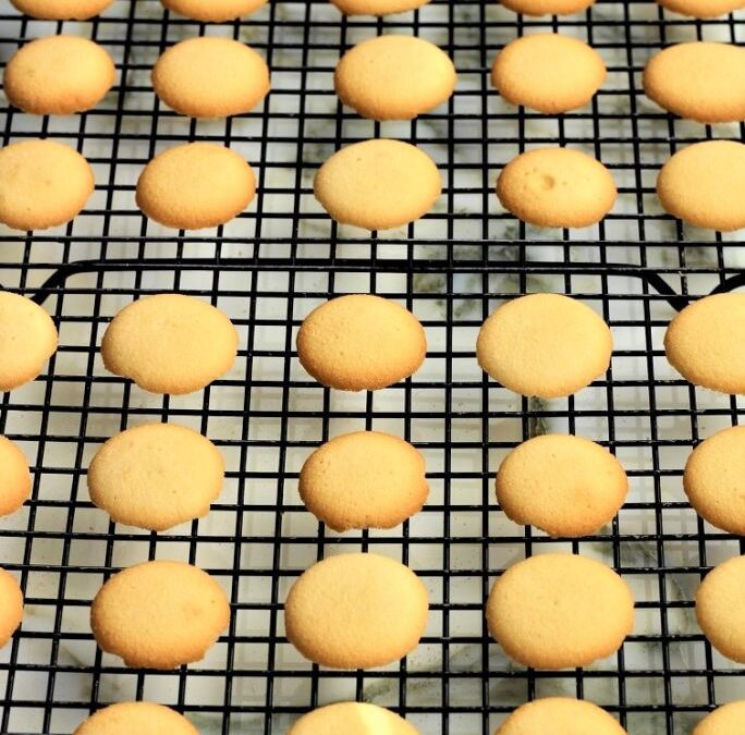 IMG_8721-2-684×1025 (2)