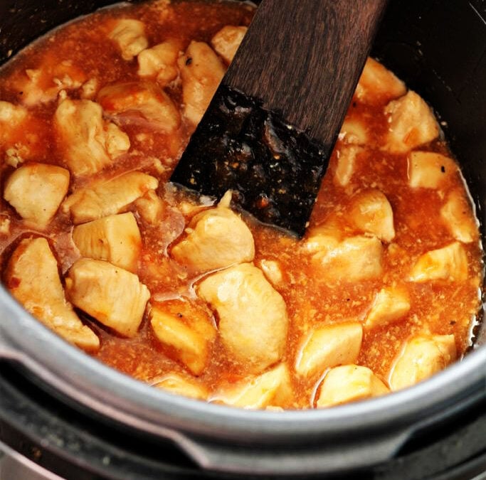 IMG_8790-683x1025pscopy