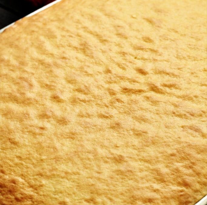 IMG_8908-683x1025pscopy