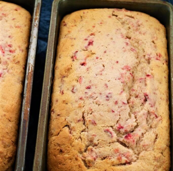 IMG_9205-683×1025 (2)