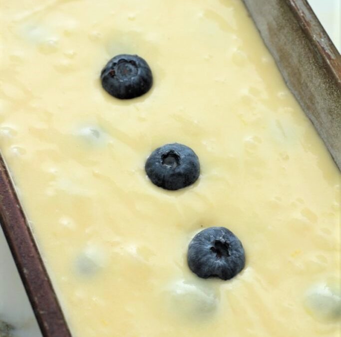 IMG_9536-683×1025 (2)