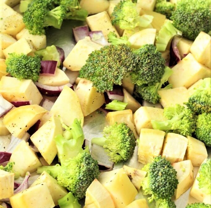 IMG_9624-683×1025 (2)