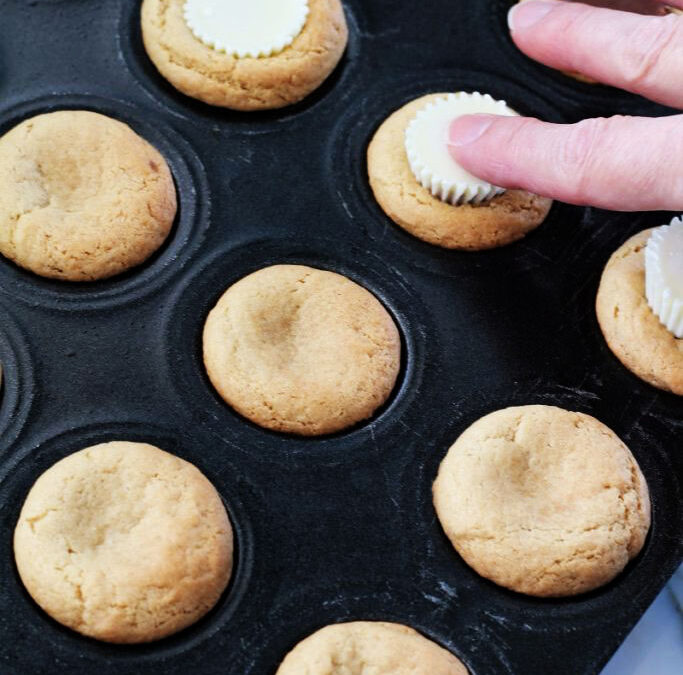 IMG_9649-683x1025pscopy