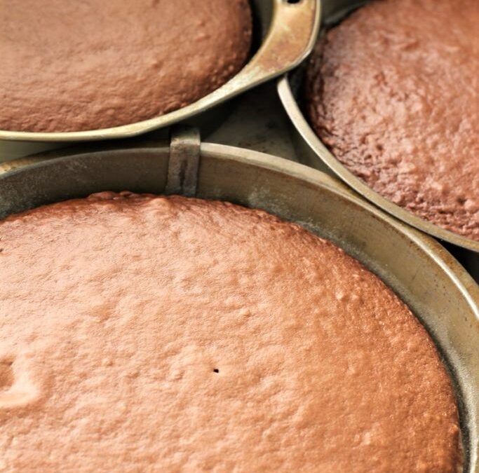 IMG_9688-1-683×1025 (2)