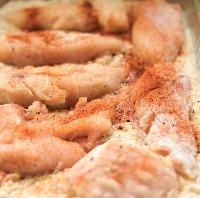 IMG_0417-683×1025 (2)