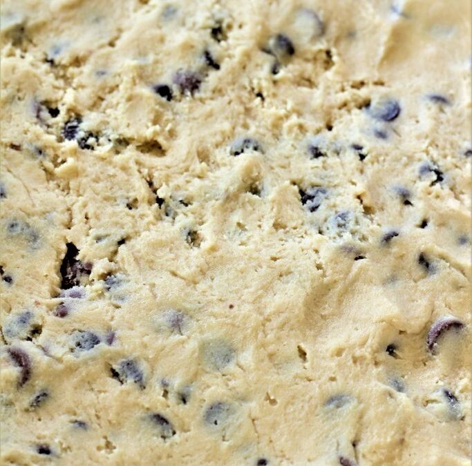 IMG_9641-683×1025 (2)