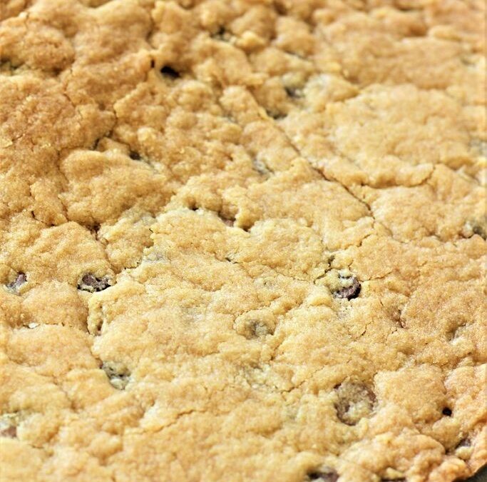 IMG_9650-683×1025 (2)