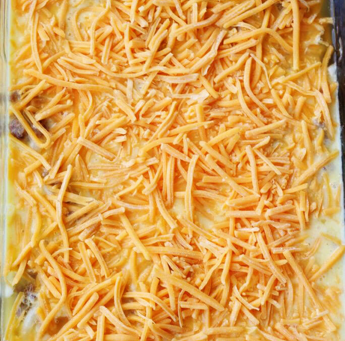 IMG_0051-684x1025pscopy