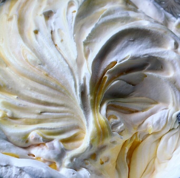 IMG_0475-683×1025 (2)