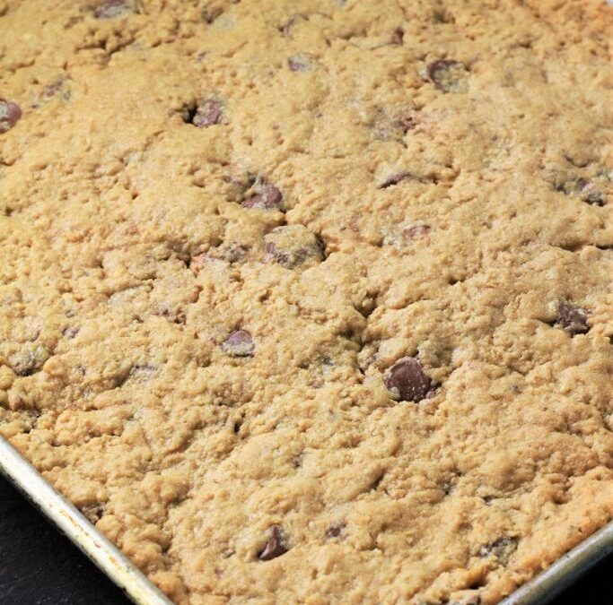 IMG_0535-683×1025 (2)