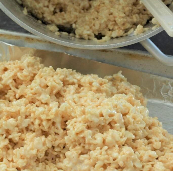 IMG_0656-2-684×1025 (3)