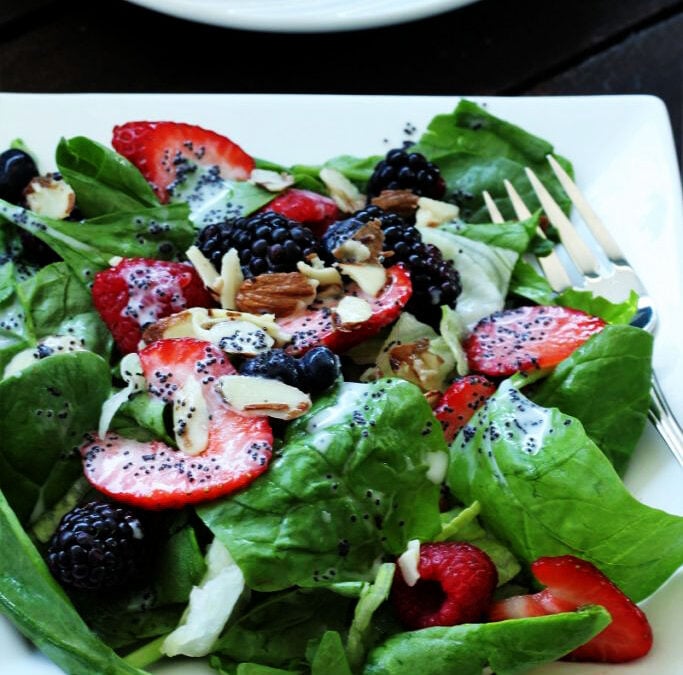 IMG_0884-683x1025pscopy