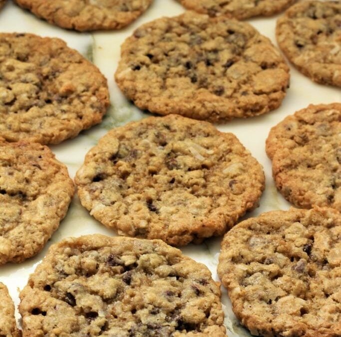 IMG_1017-683×1025 (2)