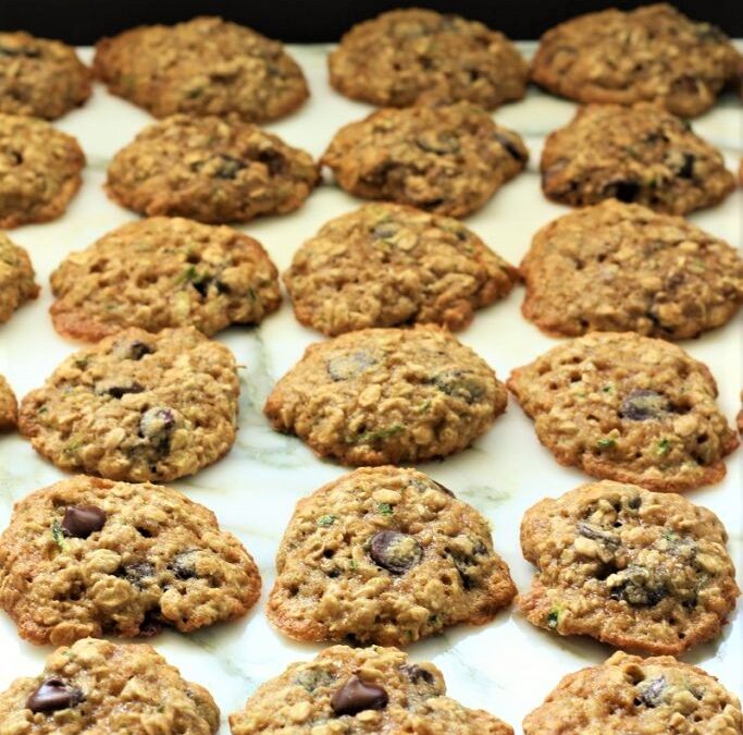 IMG_1179-683×1025 (2)