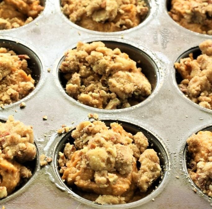 IMG_1428-683×1025 (2)