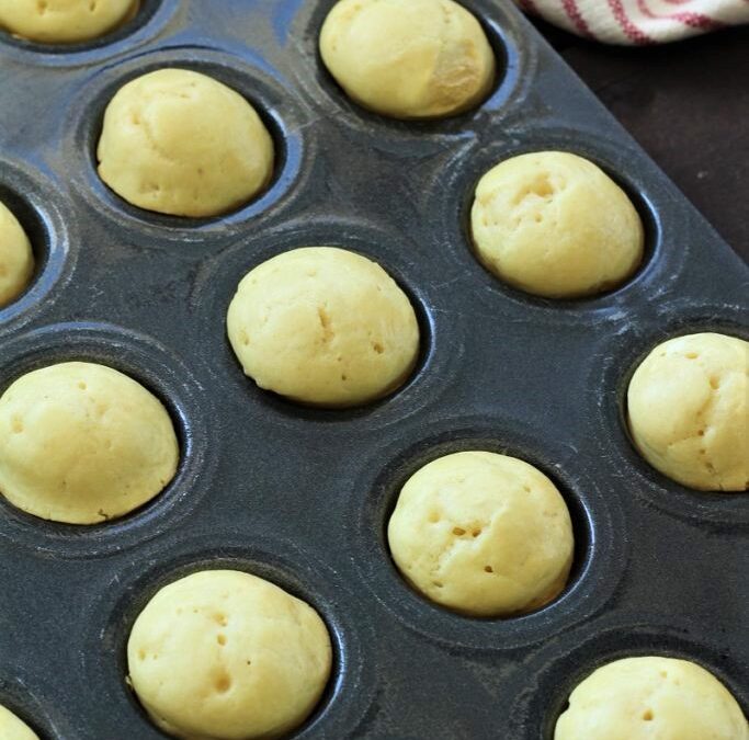 IMG_1847-683×1025 (2)