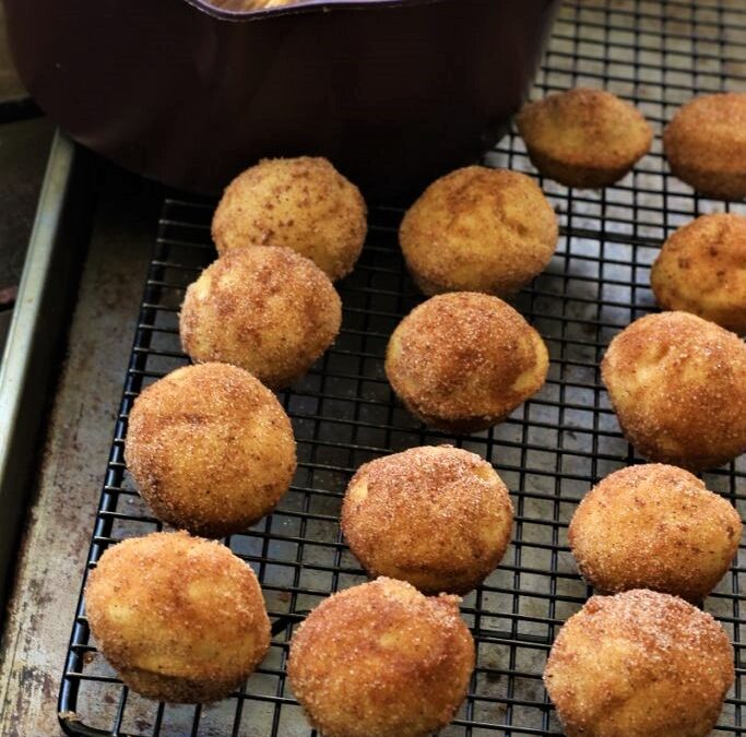 IMG_1863-683×1025 (2)