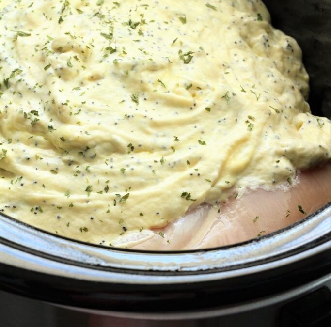 IMG_2000-683×1025 (2)