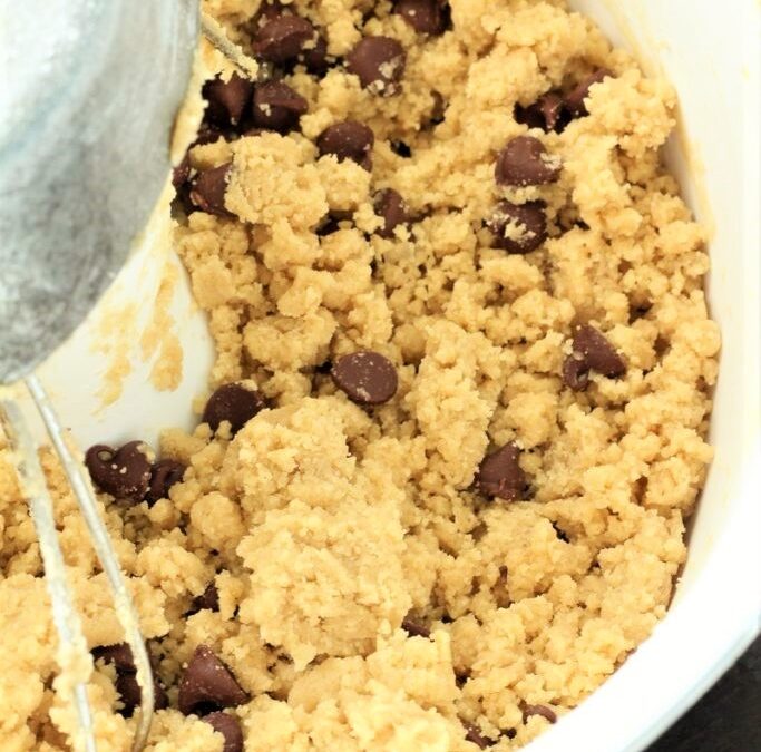 IMG_1900-683×1025 (2)