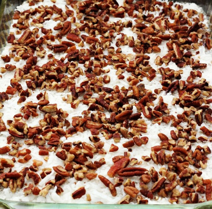 IMG_2902-683x1025pscopy