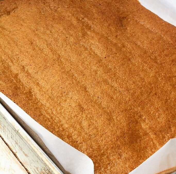 IMG_3193-683×1025 (2)