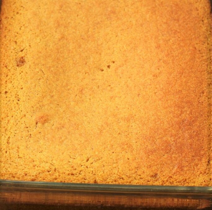 IMG_3690-683×1025 (2)