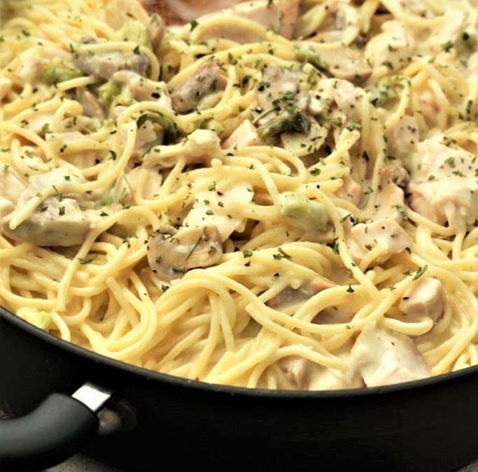 IMG_4152-683×1025 (2)