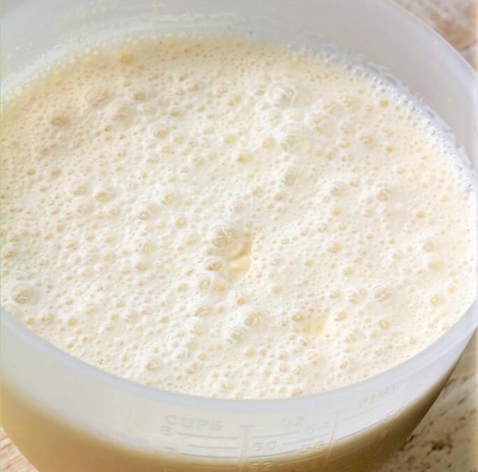 IMG_4284-683×1025 (2)