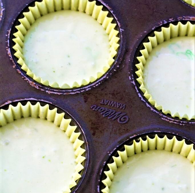 IMG_4605-683×1025 (2)