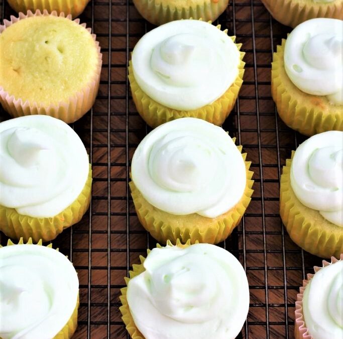 IMG_4627-683×1025 (2)