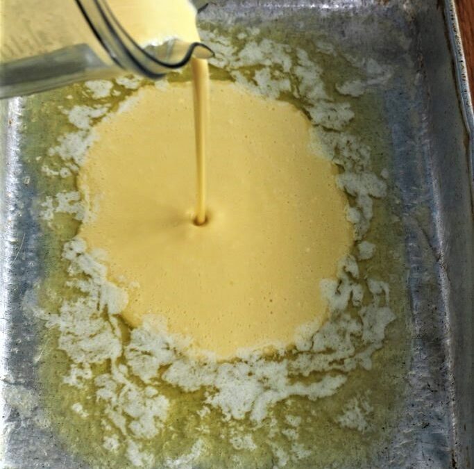 IMG_4742-683×1025 (2)